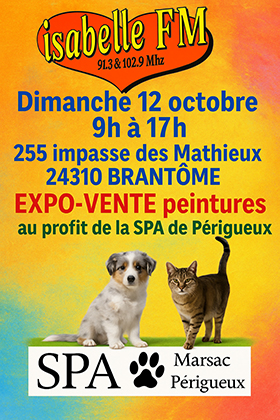 Expo vente de peintures Brantome