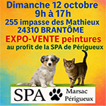 Expo vente de peintures Brantome