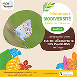 Sortie decouverte les papillons Les Farges