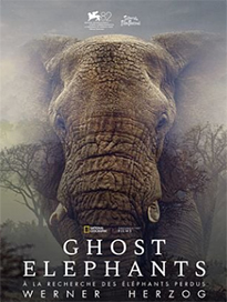 Ghost elephant