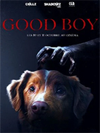 Good boy