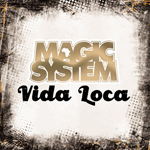 Magic System